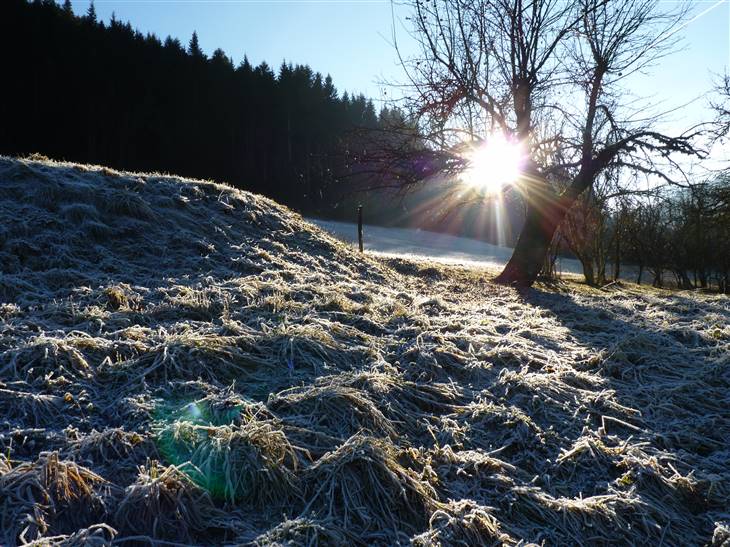 Paysage.JPG